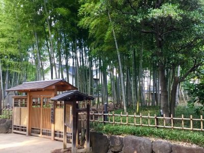 氷川の杜文化館